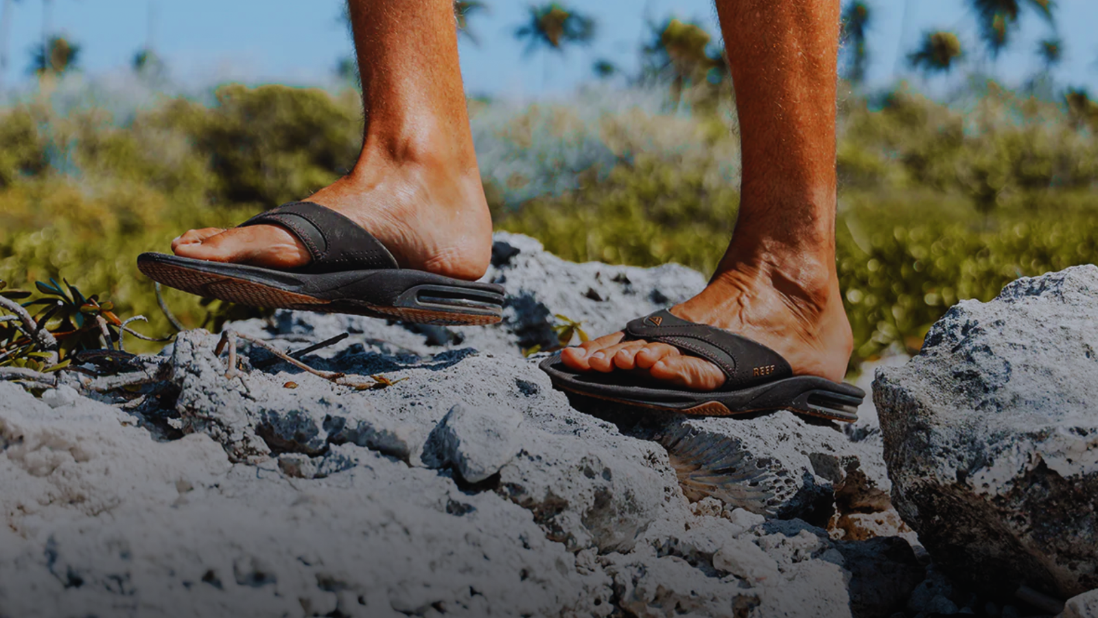 REEF – Riding the Wave of Growth